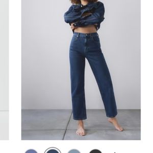 Everlane Way High Jean